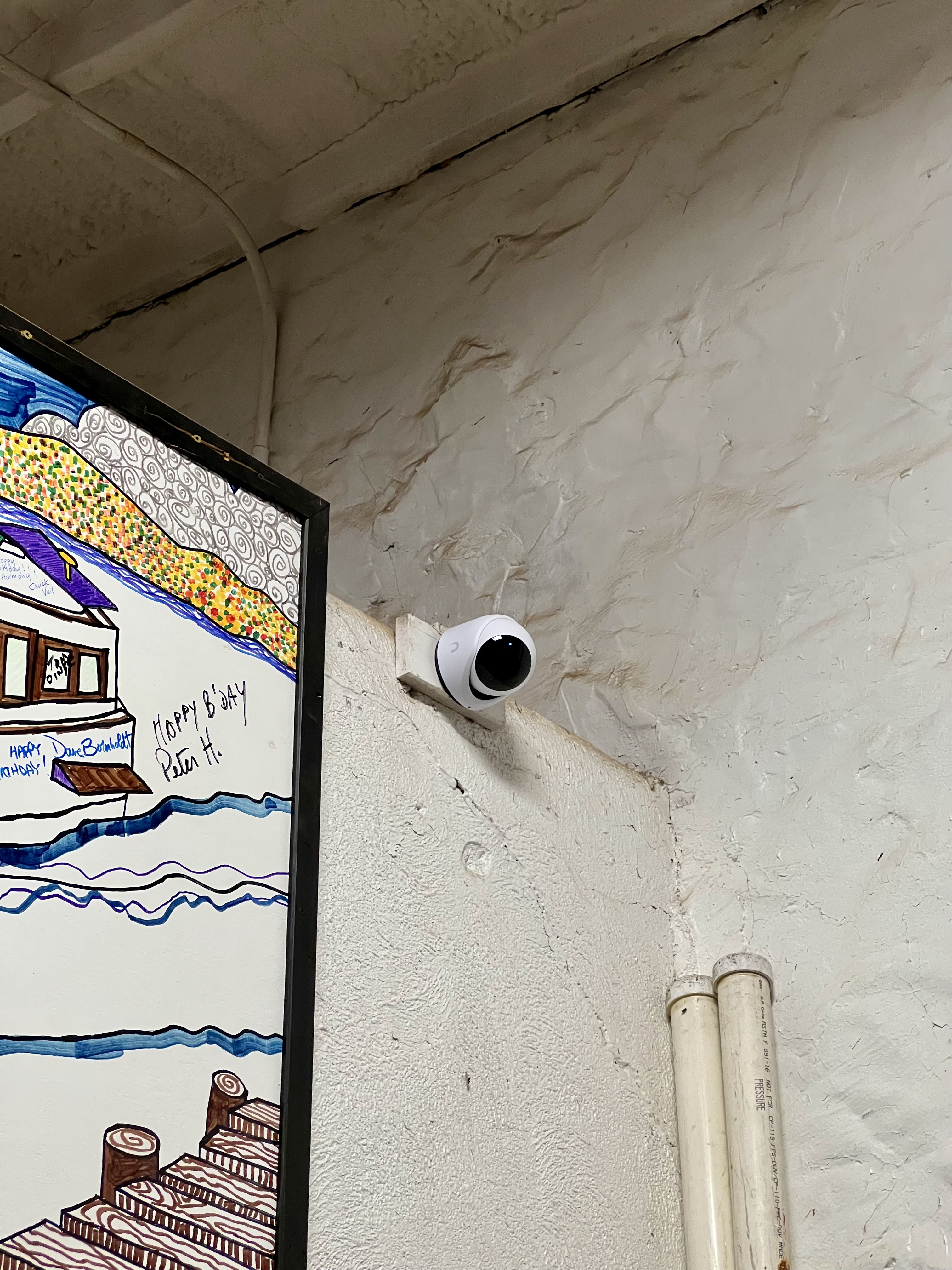 Security camera mounted on interior wall near local artwork